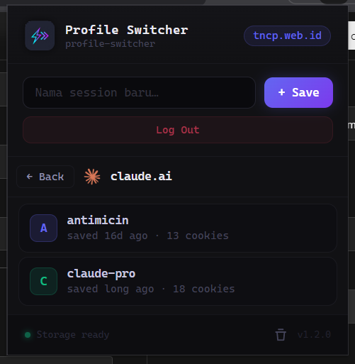 Screenshot from Profile Switcher — Browser Extension for Instant Account Switching